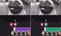 剪辑视频用什么软件,一键式概述文章副标题制作指南